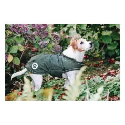 KENTUCKY DOGWEAR Manteau chien imperméable réfléchissant -< Manteau Pour Chien|Equipement Réfléchissant Cavalier