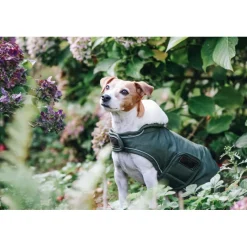 KENTUCKY DOGWEAR Manteau chien imperméable réfléchissant -< Manteau Pour Chien|Equipement Réfléchissant Cavalier
