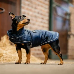 HORSEWARE Manteau chien Signature 200g -< Manteau Pour Chien
