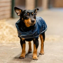 HORSEWARE Manteau chien Signature 200g -< Manteau Pour Chien
