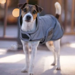 KENTUCKY DOGWEAR Manteau pour chien imperméable et réfléchissant -< Manteau Pour Chien|Equipement Réfléchissant Cavalier