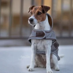 KENTUCKY DOGWEAR Manteau pour chien imperméable et réfléchissant -< Manteau Pour Chien|Equipement Réfléchissant Cavalier