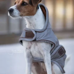 KENTUCKY DOGWEAR Manteau pour chien imperméable et réfléchissant -< Manteau Pour Chien|Equipement Réfléchissant Cavalier