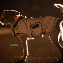 KENTUCKY DOGWEAR Manteau pour chien imperméable et réfléchissant -< Manteau Pour Chien|Equipement Réfléchissant Cavalier