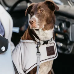 KENTUCKY DOGWEAR Manteau pour chien imperméable et réfléchissant -< Manteau Pour Chien|Equipement Réfléchissant Cavalier