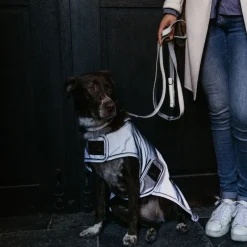 KENTUCKY DOGWEAR Manteau pour chien imperméable et réfléchissant -< Manteau Pour Chien|Equipement Réfléchissant Cavalier