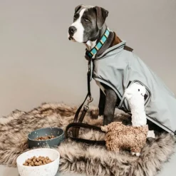 KENTUCKY DOGWEAR Manteau pour chien imperméable et réfléchissant -< Manteau Pour Chien|Equipement Réfléchissant Cavalier