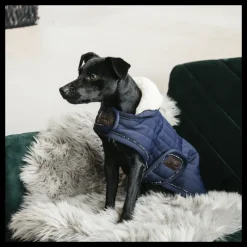 KENTUCKY DOGWEAR Manteau pour chien matelassé Pearls -< Manteau Pour Chien