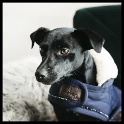 KENTUCKY DOGWEAR Manteau pour chien matelassé Pearls -< Manteau Pour Chien