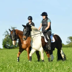 EQUILIBRIUM Masque anti-mouche anti-uv cheval de travail Net Relief -< Uveite Cheval|Masque Et Couverture Anti-Uv Cheval