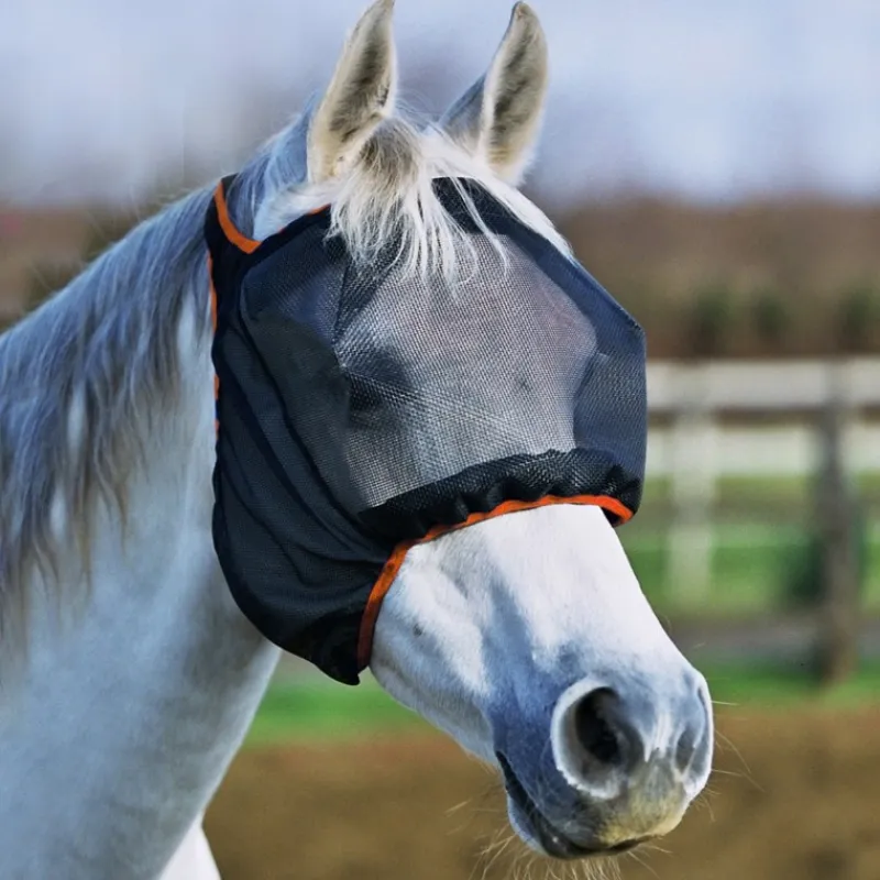 EQUILIBRIUM Masque anti-mouche anti-uv cheval sans oreilles Midi -< Uveite Cheval|Masque Et Couverture Anti-Uv Cheval
