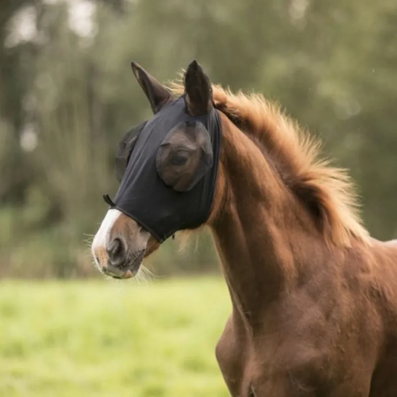 LAMI-CELL Masque anti-mouche cheval Lycra - Lami Cell< Masque Anti-Mouche Cheval|Masque Anti-Mouche Cheval
