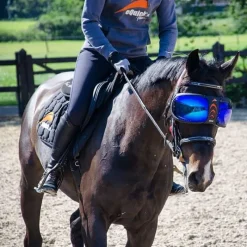 EQUICK Masque lunettes de protection cheval Evysor -< Headshaking|Uveite Cheval