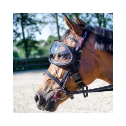 EQUICK Masque lunettes de protection cheval Evysor -< Headshaking|Uveite Cheval