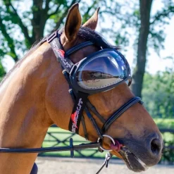 EQUICK Masque lunettes de protection cheval Evysor -< Headshaking|Uveite Cheval