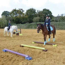 LA GEE Mini cube d'obstacle EasyPro Jump - La Gée< Obstacles