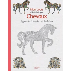 EQUIBOOKS Mon cours d'art thérapie chevaux - Hachette< Librairie Equibooks