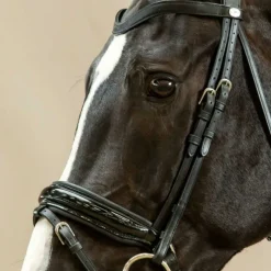 DYON Montants de bridon dressage cheval Working Collection - Dy'on< Accessoires De Bridon Cheval