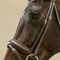 DYON Montants de bridon dressage cheval Working Collection - Dy'on< Accessoires De Bridon Cheval