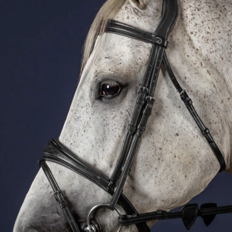 DYON Montants de bridon New English Collection -< Accessoires De Bridon Cheval