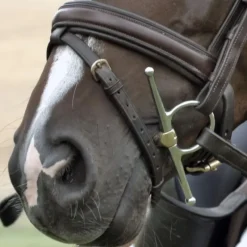 SPRENGER Mors à aiguille double brisure cheval Dynamic Rs en Sensogan -< Mors Cheval