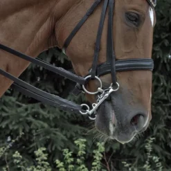 SPRENGER Mors de bride avec passage de langue en Sensogan 16 mm -< Mors Cheval