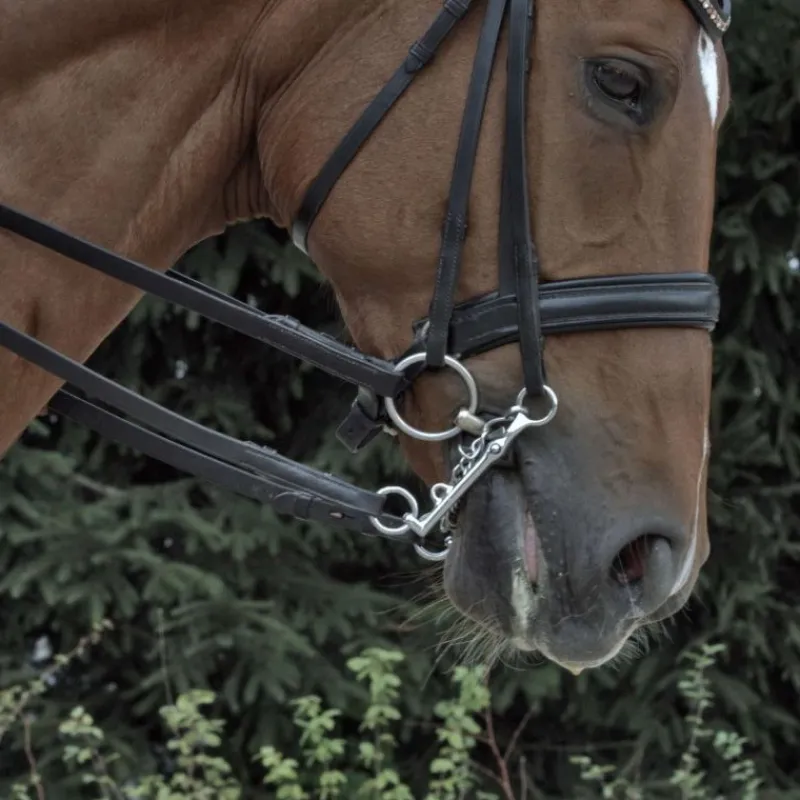 SPRENGER Mors de bride avec passage de langue en Sensogan 16 mm -< Mors Cheval