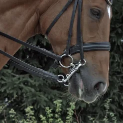 SPRENGER Mors de filet double brisure pour bride Dynamic Rs Sensogan C/14 -< Mors Cheval