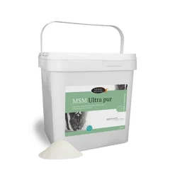 HORSE MASTER MSM ultra pur -< Toux Allergique Cheval|Soutien Locomoteur Cheval De Sport