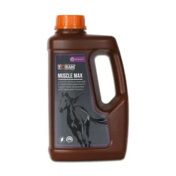 FORAN Muscle max - Reprise d'état musculaire cheval -< Prise De Muscle Cheval