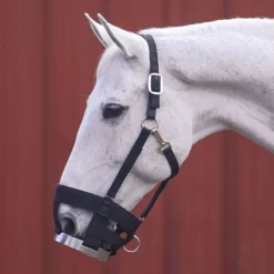 CASHEL Muselière à disque cheval -< Panier Anti-Fourbure Cheval|Panier Anti-Colique Cheval