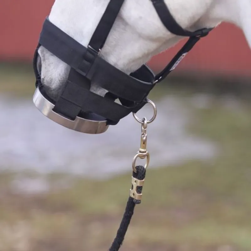 CASHEL Muselière à disque cheval -< Panier Anti-Fourbure Cheval|Panier Anti-Colique Cheval