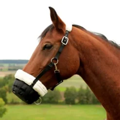 STABLE PRO Muselière cheval en mouton synthétique< Panier Anti-Colique Cheval