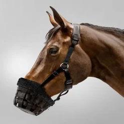WALDHAUSEN Muselière de pâturage cheval Comfort -< Panier Anti-Fourbure Cheval|Cheval En Surpoids