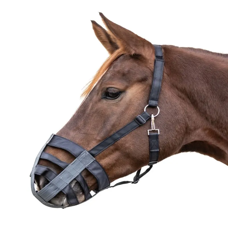 WALDHAUSEN Muselière tissu cheval ou poney -< Panier Anti-Fourbure Cheval