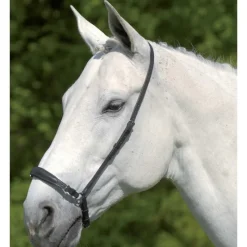 WALDHAUSEN Muserolle allemande réglable S-Line -< Accessoires De Bridon Cheval