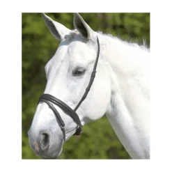 WALDHAUSEN Muserolle combinée -< Accessoires De Bridon Cheval