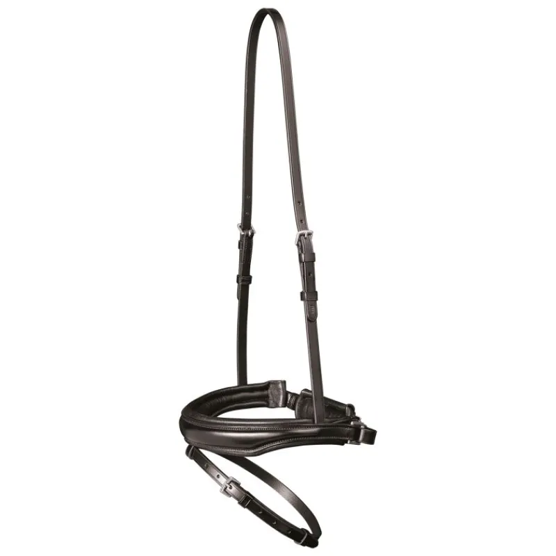 WALDHAUSEN Muserolle combinée large Pull-back X-Line -< Accessoires De Bridon Cheval