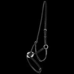 WALDHAUSEN Muserolle croisée cuir -< Accessoires De Bridon Cheval