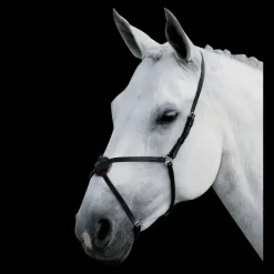 WALDHAUSEN Muserolle croisée cuir -< Accessoires De Bridon Cheval