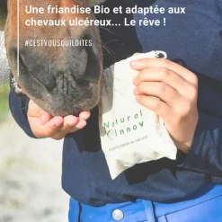NATURAL INNOV Natural Crackers Friandises chevaux naturelles locomotion Moov - Natural'Innov< Friandises Cheval|Tendons, Articulations Cheval