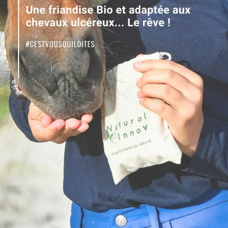 NATURAL INNOV Natural Crackers Friandises chevaux naturelles locomotion Moov - Natural'Innov< Friandises Cheval|Tendons, Articulations Cheval