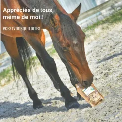 NATURAL INNOV Natural Crackers Friandises chevaux naturelles locomotion Moov - Natural'Innov< Friandises Cheval|Tendons, Articulations Cheval