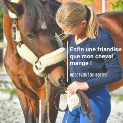 NATURAL INNOV Natural Crackers Friandises chevaux naturelles locomotion Moov - Natural'Innov< Friandises Cheval|Tendons, Articulations Cheval
