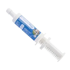 NATURAL INNOV Natural Moov Flash - Confort locomoteur cheval -< Tendons, Articulations Cheval