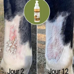 NATURAL INNOV Natural'Balm réparation cutanée cheval - Natural'Innov< Désinfectant Et Cicatrisant Cheval|Démangeaisons Cheval