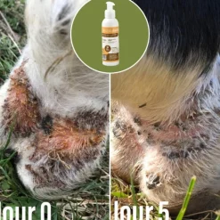 NATURAL INNOV Natural'Balm réparation cutanée cheval - Natural'Innov< Désinfectant Et Cicatrisant Cheval|Démangeaisons Cheval