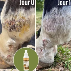 NATURAL INNOV Natural'Balm réparation cutanée cheval - Natural'Innov< Désinfectant Et Cicatrisant Cheval|Démangeaisons Cheval