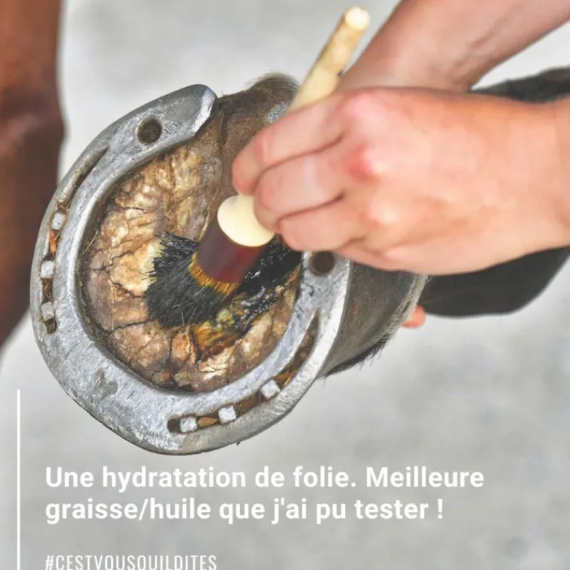 NATURAL INNOV Natural'Coat -onguent sabot cheval incolore et noir – Natural'Innov< Graisse À Pied Cheval