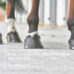 NATURAL INNOV Natural'Coat -onguent sabot cheval incolore et noir – Natural'Innov< Graisse À Pied Cheval